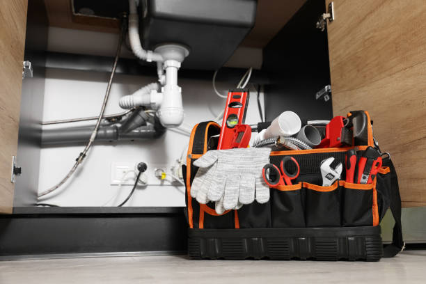 Best Local Plumber Services  in Franklin Park, FL