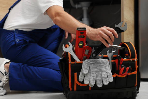 Best Plumbing Services Near Me  in Franklin Park, FL
